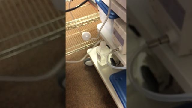 Endoscope Set-Up & Pre-cleaning смотреть онлайн