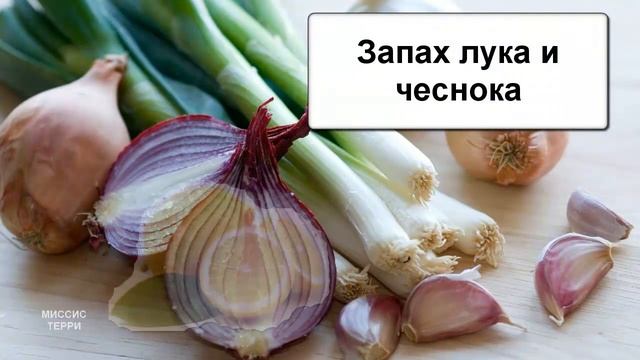 Как избавится от неприятного запаха