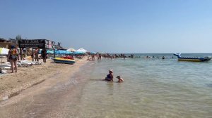 Кирилловка. Медузы и блохи есть! Цены в Кирилловке. Море, пляж, жилье. Отдых в Кирилловке