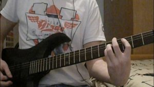Rammstein - Bestrafe mich, guitar cover