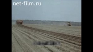 Технология возделывания картофеля. МТЗ-80, МТЗ-82