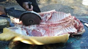 Как за пару минут без топора разделать тушу свиньи