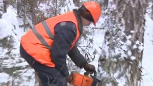 Клин валочный механический, валка дерева в -30 С