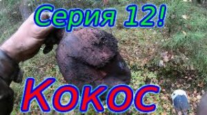 Коп по войне.Серия 12! Новые места!#продвижениевойск#путешествие#ВОВ#коп#копповойне#ww2#.mp4