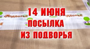 14 июня. Посылка из Подворья с гейхерами