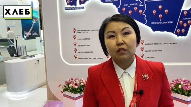 Запорожская область будет сотрудничать с Республикой Калмыкия