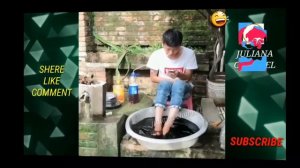 video lucu banget -part34-kocak gokil bikin ngakak abis[kompilasi]