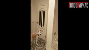 Отделка стен в каркасном доме - панели Гипсокаркас