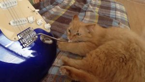 Алиса и рычаг тремоло