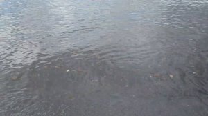 Поездка в Горный Алтай.