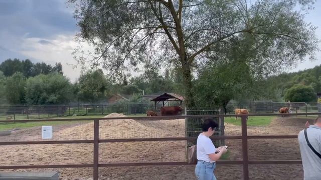 Посетили Парк птиц "ВОРОБЬИ" смотреть онлайн