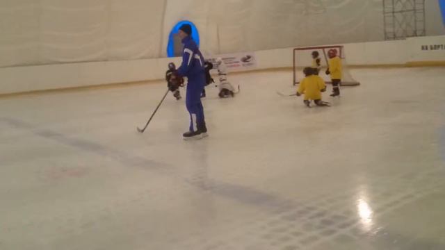 Лев тренировка 12.05.2016 смотреть онлайн