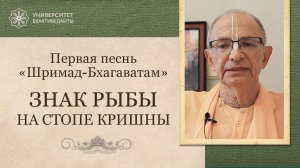 5. Знак рыбы на стопе Кришны. Фрагмент из курса "Обзор Шримад-Бхагаватам" 2024. БВГМ