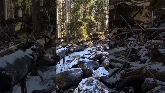 где добывают воду архыз