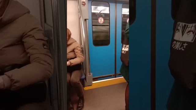 Минск. Поездка на элетропоезде Штадлер M110 N метровагона 10310 от ст. Тракторного завода до Немиги смотреть онлайн