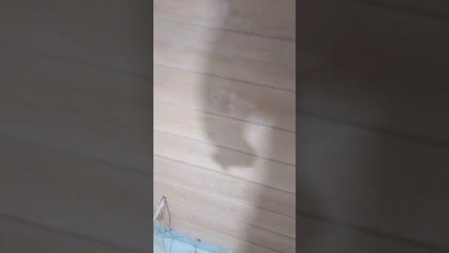 Парящие пологи для бани или сауны.