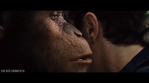 обезьяна шепчет на ухо