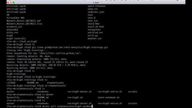 1 BigDL Intro Docker Sandbox смотреть онлайн