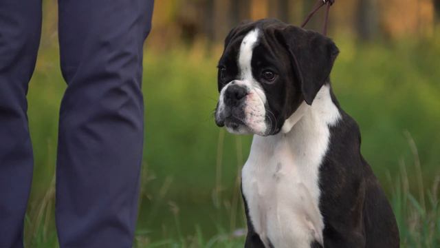 Almadinaks Eto Moy Stil_4k смотреть онлайн