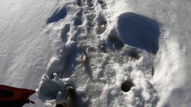 Ловля хариуса весной.От печали до радости... смотреть онлайн