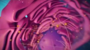 Биология 7 класс, § 3 "Клетка"