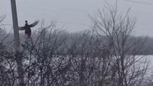 Снежное.  Донецкая обл.