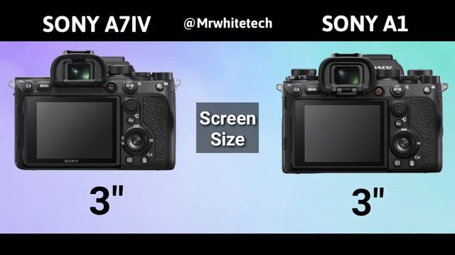 Sony A7IV Vs Sony Alpha 1
