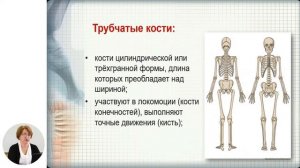 Биология, 8-й класс, Жизненно важные системы органов координации и регуляции у человека: костная...