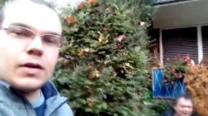 О бедности в Германии и супермаркете REWE (Мюнстер, Германия)