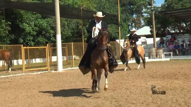 DOLCE VITA DE SAN ANGEL, TROCHA Y GALOPE SINCE GRADO B 2017 смотреть онлайн