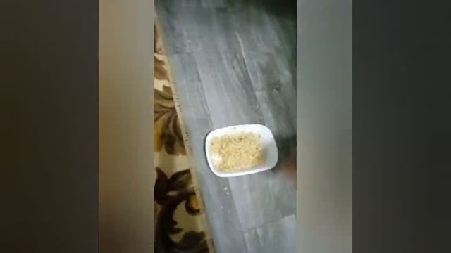 НУКУС ОПТОМ хоз мыло всё информация ??? по описани смотреть онлайн