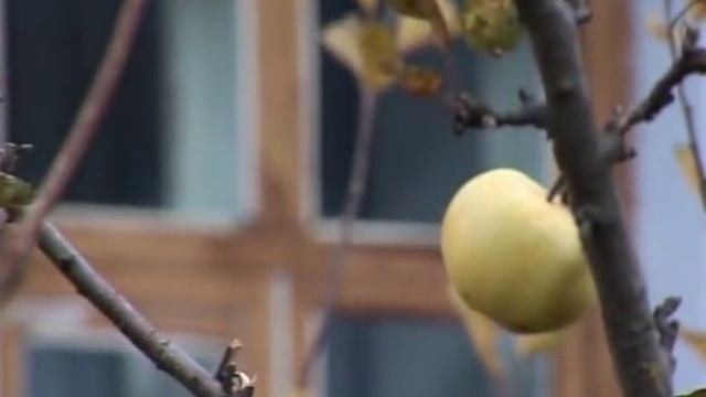 Садонские горизонты 3 часть смотреть онлайн