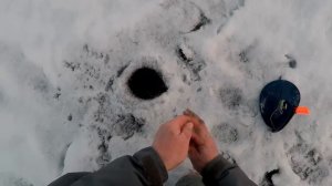 Мотобуксировщик Койра помошник или геморой. Рыбалка всё же получилась.