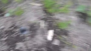 Как избавиться от слизней и улиток в саду | 4 ? сезона