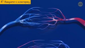 12 редчайших способностей человеческого организма