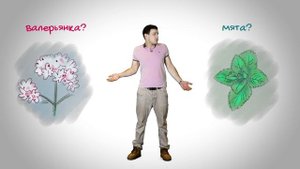 01 || Есть ли у кошек 6-е чувство || Затевахин о Животных