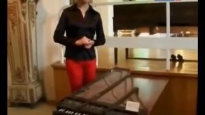 3 История клавишных  Клавесин и клавицинтериум