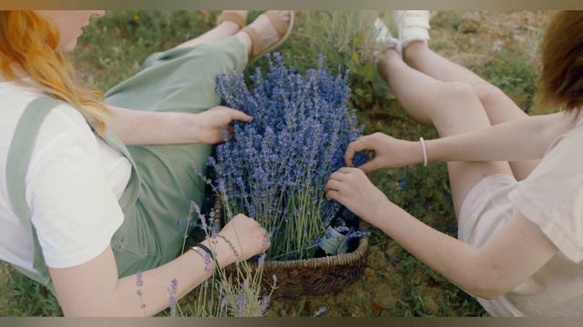 Музыка вселяющая веру в будущее |Heavenly - Aakash Gandhi смотреть онлайн