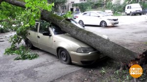 Град, потоп, ураган... Кто компенсирует ущерб авто...ту? Доброе утро. Фрагмент выпуска от 08.09.2022