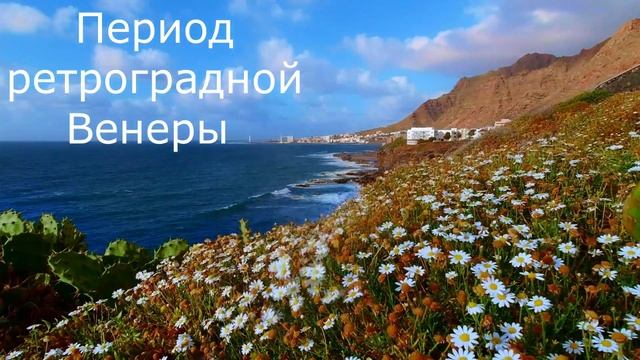 ПЕРИОД РЕТРОГРАДНОЙ ВЕНЕРЫ  Что можно и что не стоит делать?