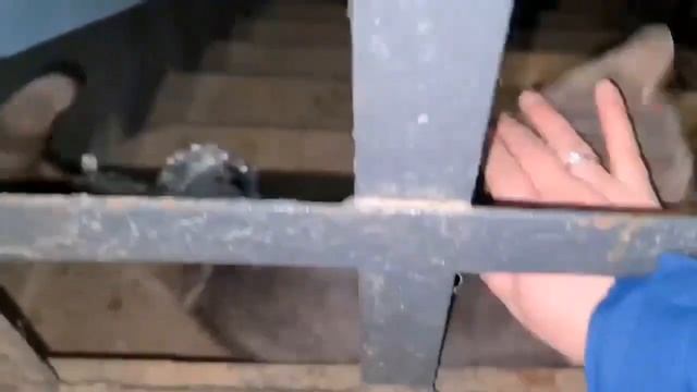 Мы хотим домой!