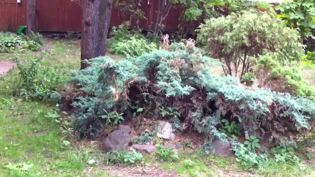 Разбушевавшаяся природа смотреть онлайн