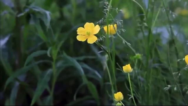 Материальность мира