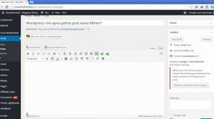 WordPress Mai Apna Pehla Blog Post Kaise Likhe