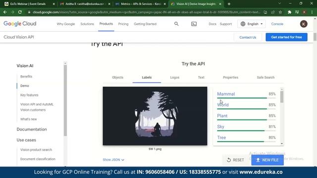 Google Cloud Vision API in Python l Google Vision API Tutorial | Edureka смотреть онлайн