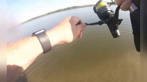 Рыбалка на Дону. Ловим сазана, клюёт карась. Обзор базы Сазан Фазан.