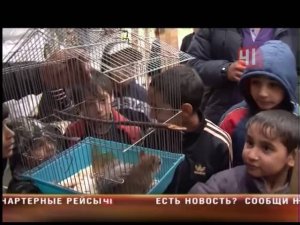 Цыганский табор под  Екатеринбургом