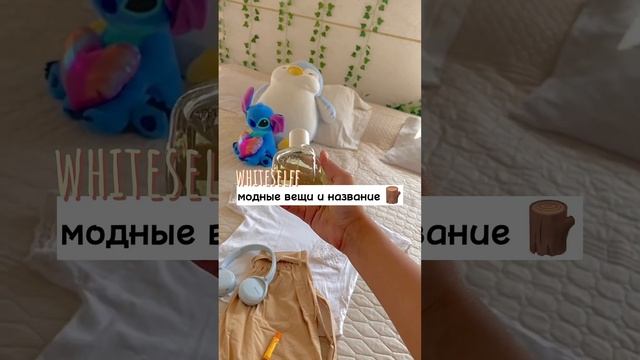 модные вещи и их названия ?