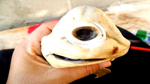 SCP-1373 Laser Shark Fetuses | object class euclid | Dr Wondertainment смотреть онлайн