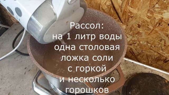 ? МАЛОСОЛЬНЫЙ ? ОГУРЕЦ ? Летние закуски